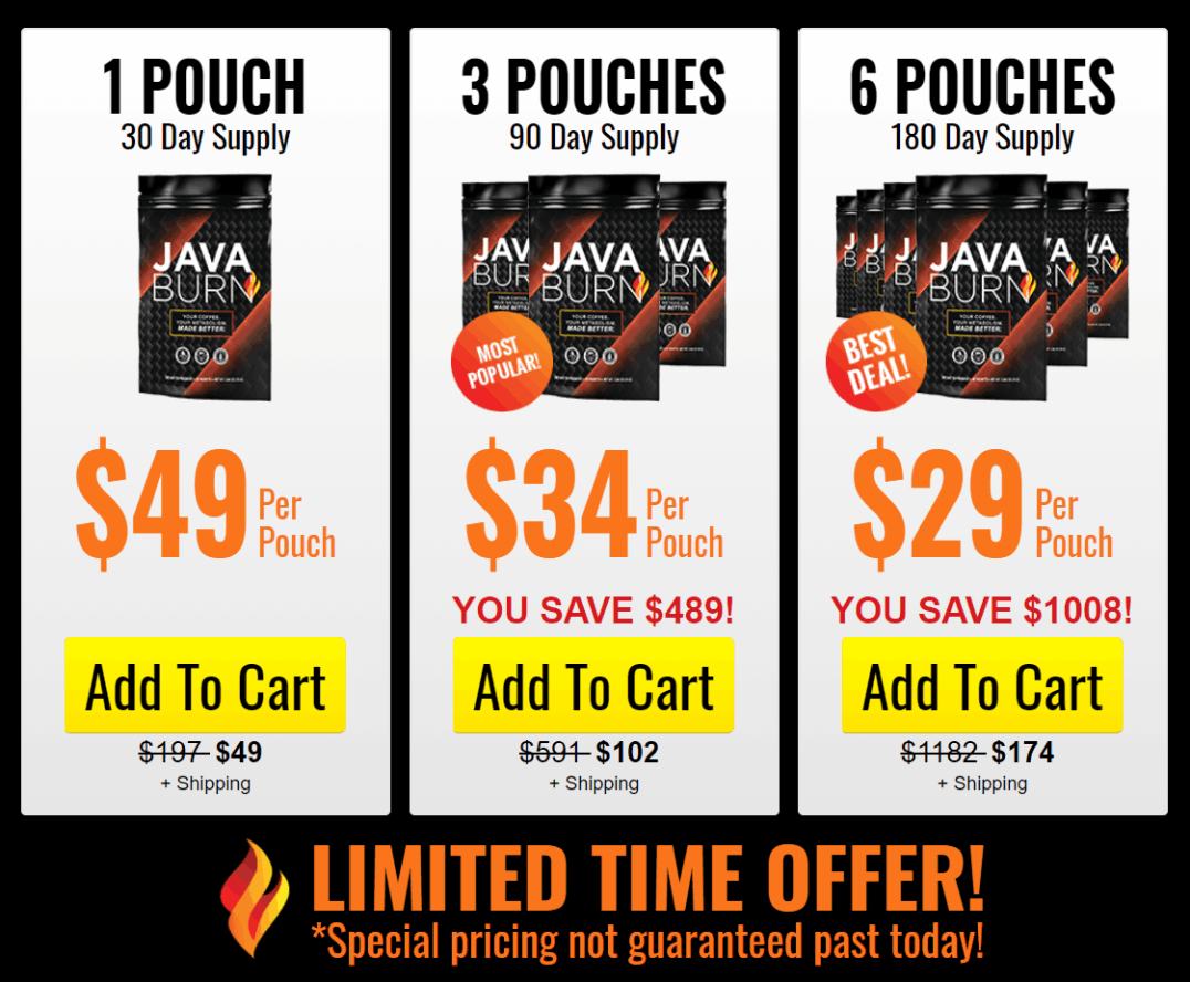 JavaBurn-best-cost